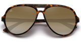 Tortoise Shell - Gradient Brown Lens